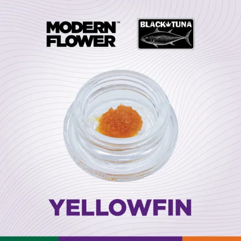 Yellowfin Live Resin