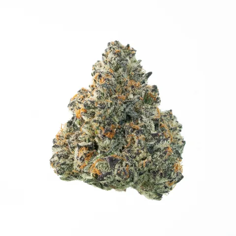 Tropic Breeze - Whole Flower