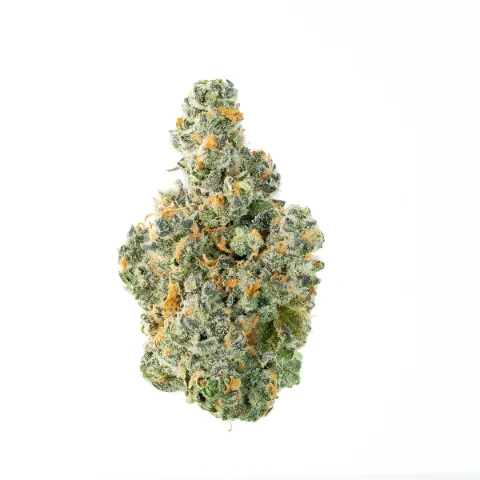 Cherry Papaya - Whole Flower