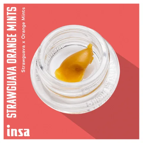 Wax - Strawguava Orange Mints