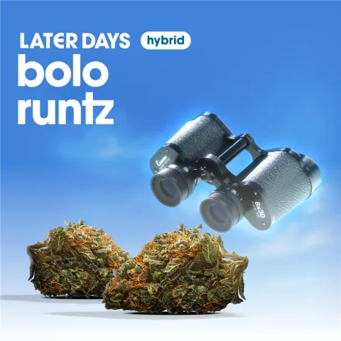 Bolo Runtz Smalls