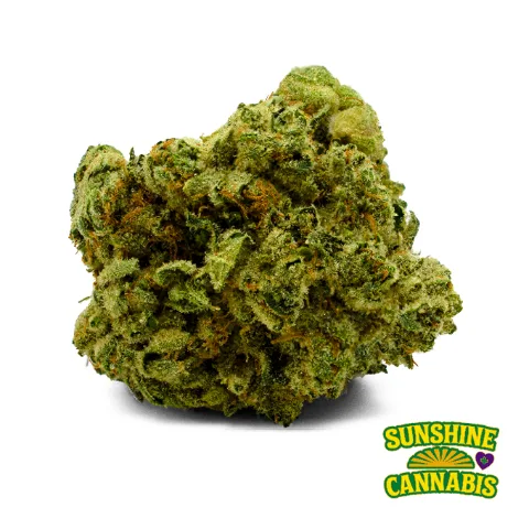 Sunshine State OG Flower, as Trulieve's menu shows it