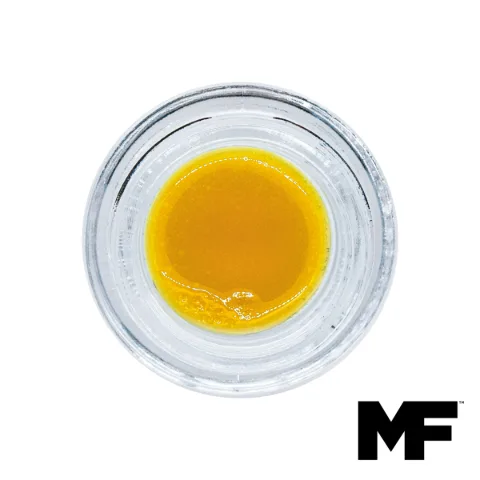 High Society Live Budder