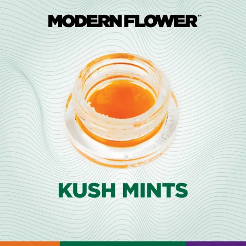 Kush Mints Live Terpene Sauz