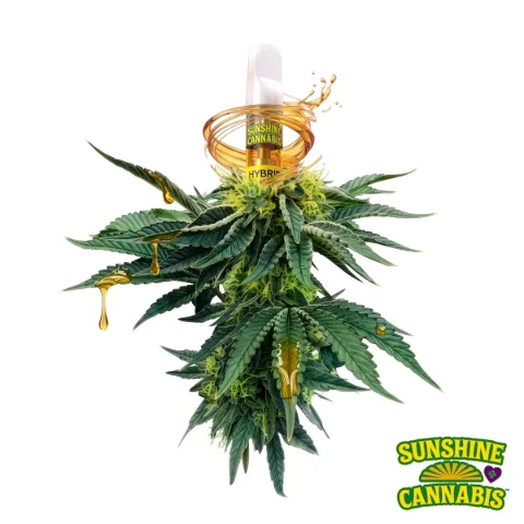 Peace River OG Vape Cart CDT, as Trulieve's menu shows it