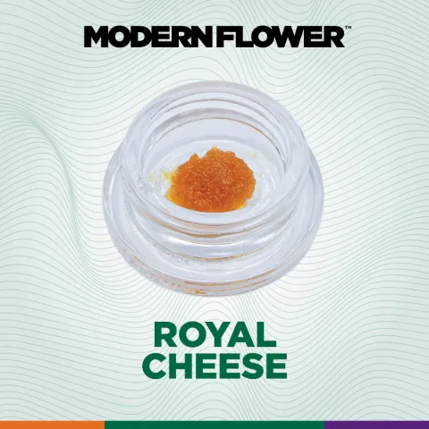 Royal Cheese Live Resin