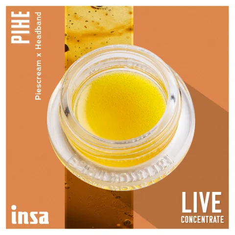 Live Budder - Pi Head