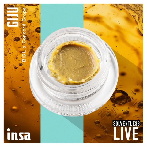 Live Rosin - GIJU