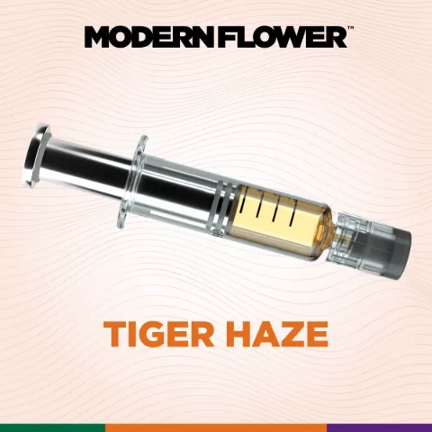 Tiger Haze CDT Clear Dose Syringe