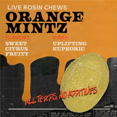 Orange Mintz - Live Rosin Chews