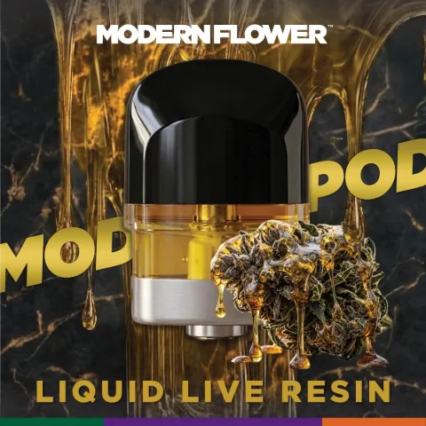 Grape Cookies Liquid Live Resin Mod Pod