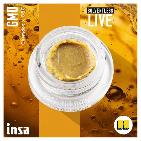 Live Rosin - GMO