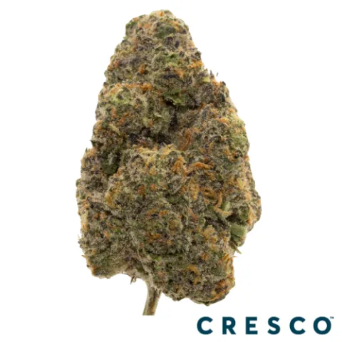 Pinnacle Premium Flower