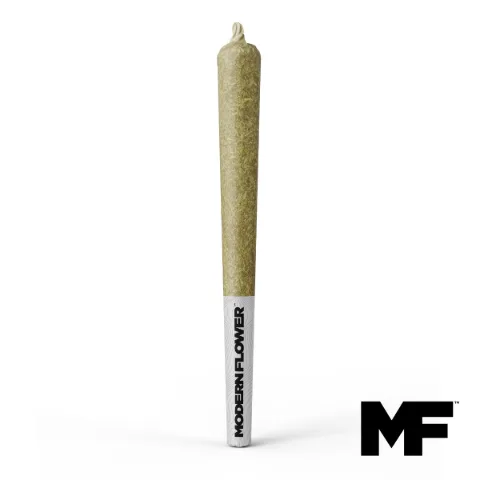 Shipwreck Single Pre-Roll