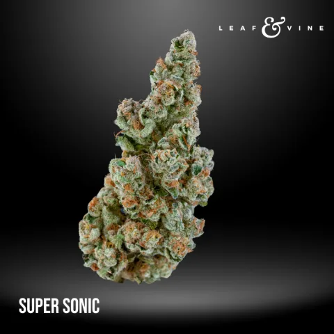 Super Sonic Pouch