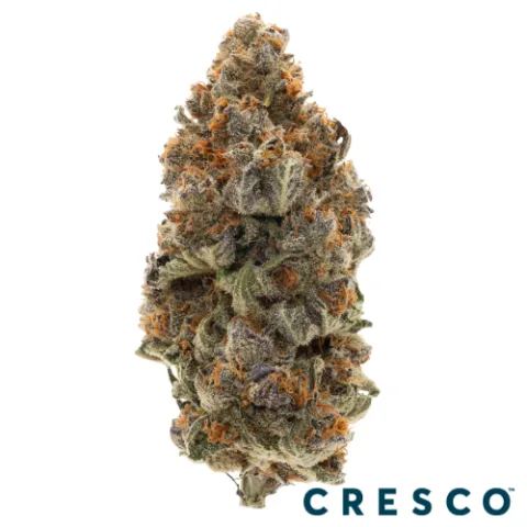 Indigo Premium Flower