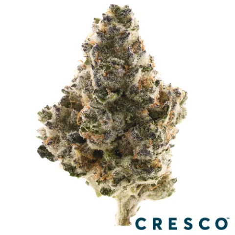 Slurricrasher x Kush Mints Premium Flower