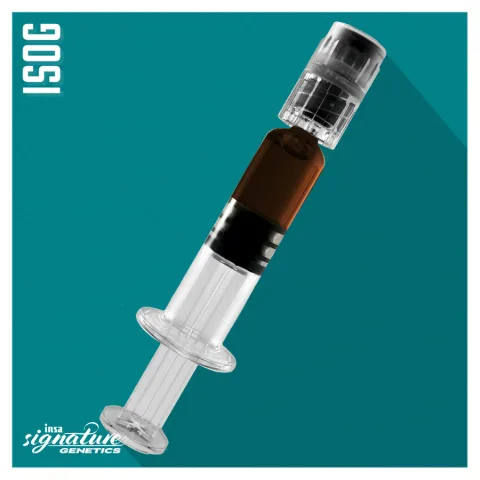 RSO - Insa OG
