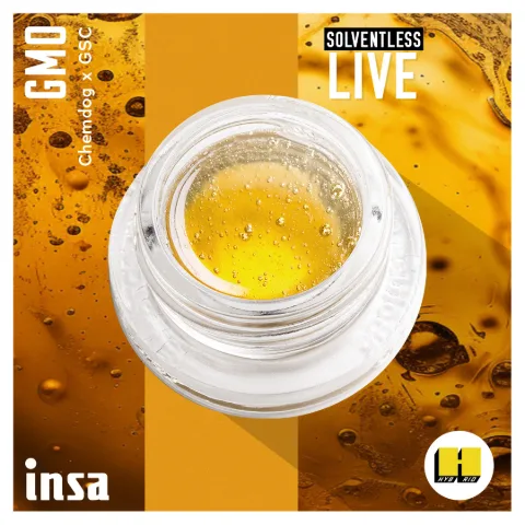 Live Rosin Magma - GMO