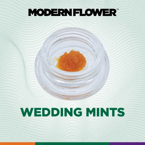 Wedding Mints Live Resin