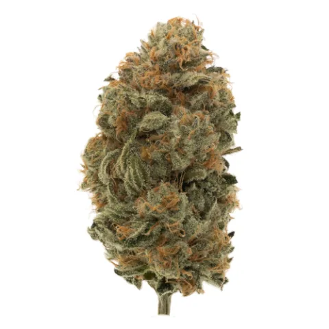 Waiting Game Craft Cannabis Flower