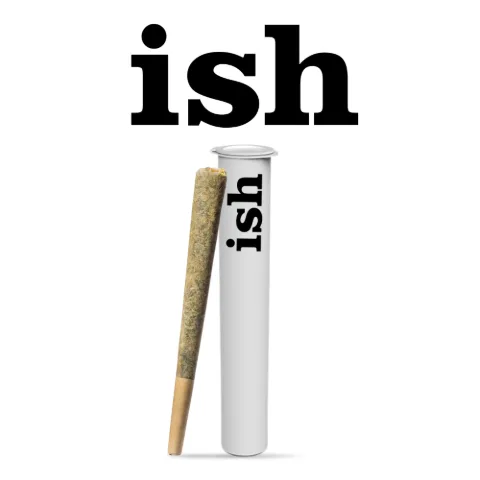 Tropical Daze ish Pre-Roll