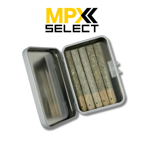 MPX Orange Queso Pre-Roll