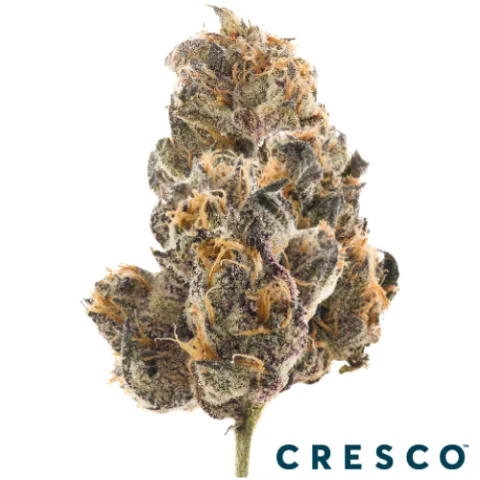 Cherry Lime Bubba Premium Flower