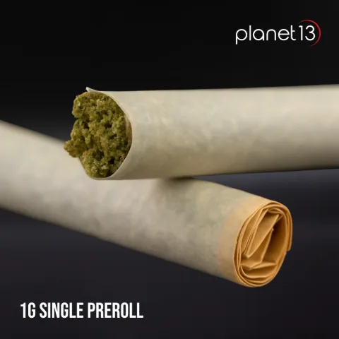 Foam Pre-roll