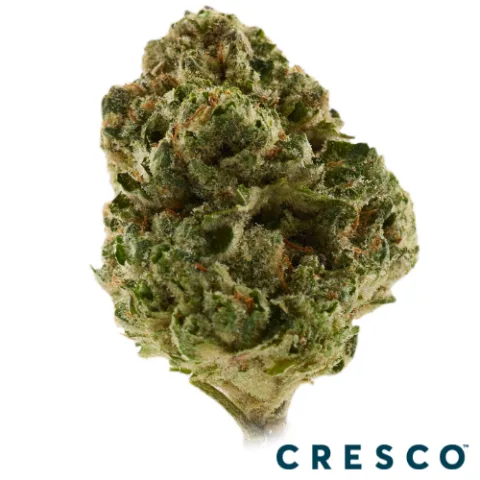 Candy Fumez Premium Flower