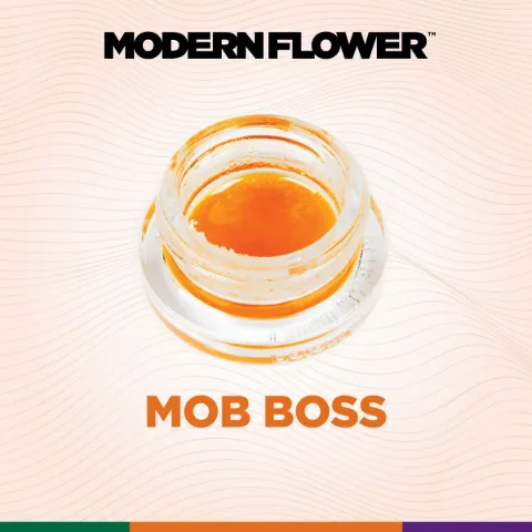 Mob Boss Live Terpene Sauz