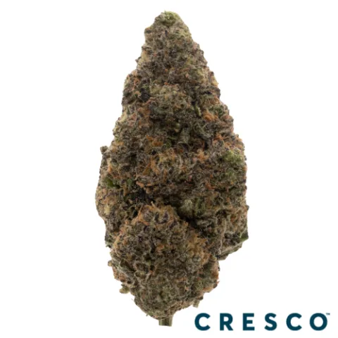 LCZ Premium Flower