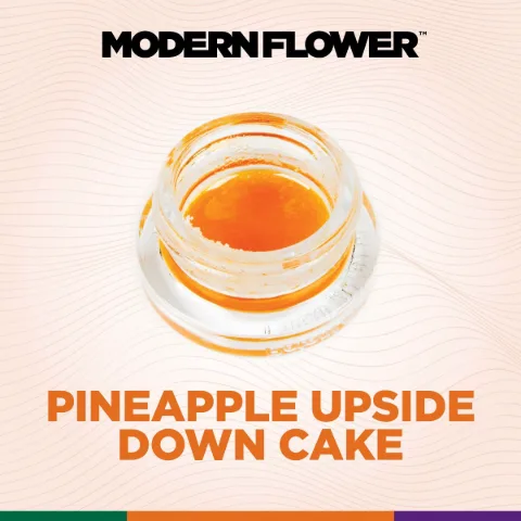 Pineapple Upside Down Cake Live Terpene Sauz