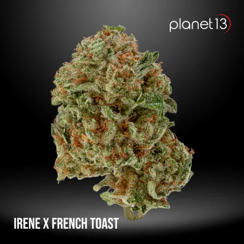 Irene x French Toast Pouch Tier 1