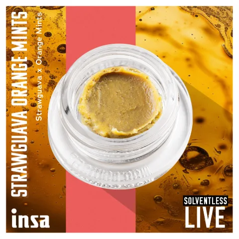 Live Rosin - Strawguava Orange Mints