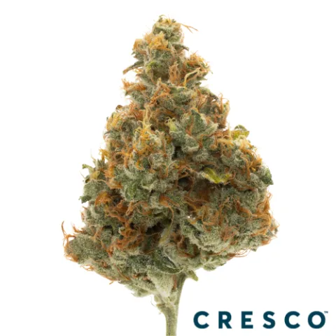 Madd Fruit Premium Flower