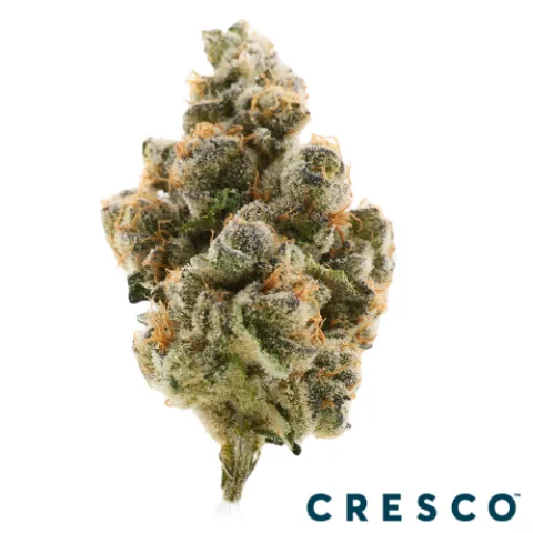 Farmer's Cut Premium Flower