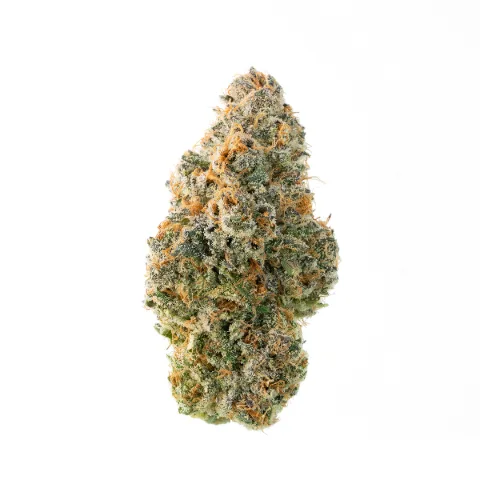 Orange Slapz - Whole Flower