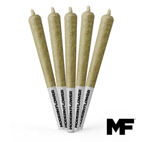 Sin Mint Sorbet Pre-Rolls