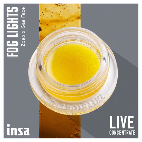 Live Budder - Fog Lights