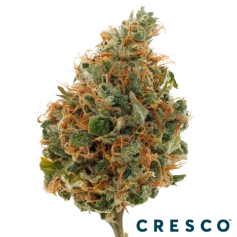 Bubba Chem Premium Flower