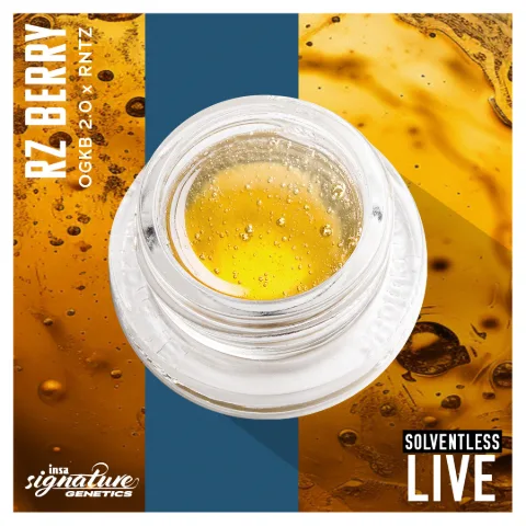 Live Rosin Magma - RZ Berry
