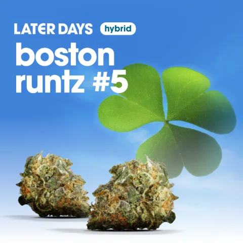 Boston Runtz #5 Flower