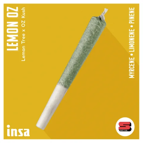 Pre-Roll - Lemon OZ