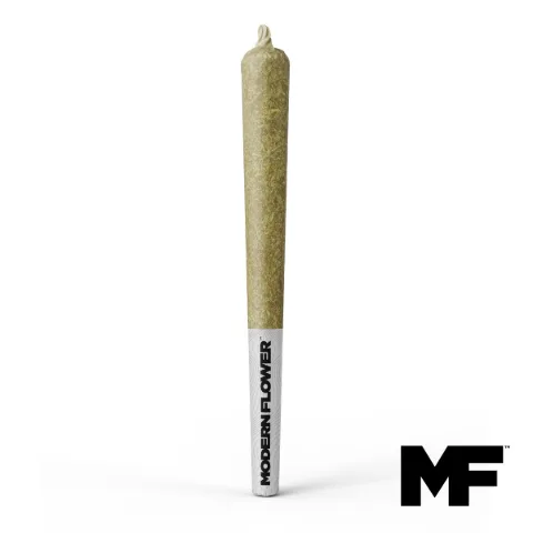 High Society Single Pre-Roll