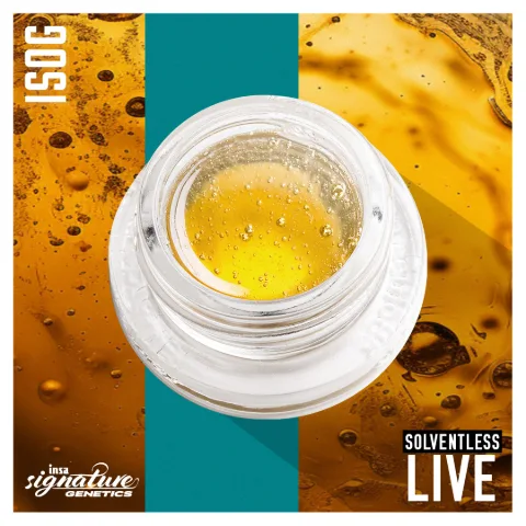 Live Rosin Magma - Insa OG