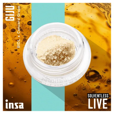 Bubble Hash - GIJU