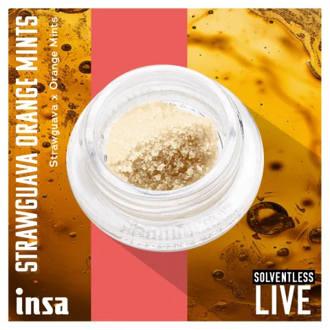 Bubble Hash - Strawguava Orange Mints