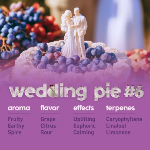 Wedding Pie #6 Smalls