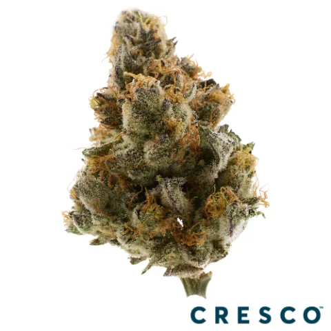 Mookie Premium Flower